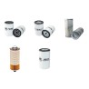 LINDE H 20 D Filter Service Kit w/Deutz F3L913 Eng.      351