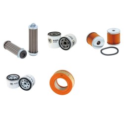 LOMBARDINI 12LD435 Filter Service Kit