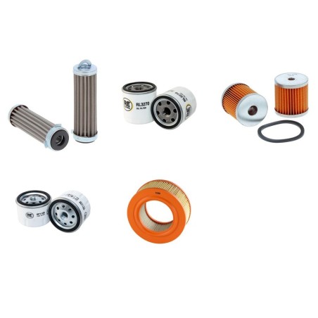 LOMBARDINI 12 LD 435 Filter Service Kit