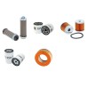 LOMBARDINI 9 LD 561-2 Filter Service Kit