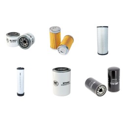 LS RIO 41 Filter Service Kit w/Mitsubishi S4L2136818 Eng.