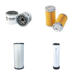 LS RIO41 Filter Service Kit Air Oil Fuel Filters