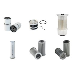 MASSEY FERGUSON 154V Filter Service Kit w/Perkins Eng.