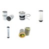 MASSEY FERGUSON 251 XE BRAZILIAN Filter Service Kit w/Perkins Eng. BRAZILIAN