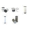 MASSEY FERGUSON 4250 Filter Service Kit w/Perkins Eng.