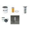 MASSEY FERGUSON 5045 Filter Service Kit w/Kubota V1505 Eng.