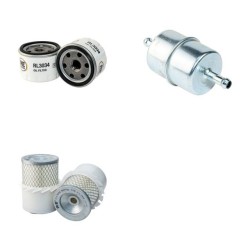 BITELLI DTV 315 Filter Service Kit Air Oil Fuel Filters w/Hatz 2G40H Eng.