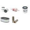 BITELLI DTV 325 Filter Service Kit withHatz Eng