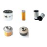 Filter kit for Merlo CINGO M10 with Kubota Engine