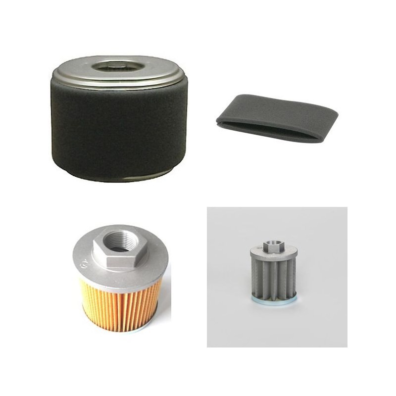 Filter kit for Merlo CONGO M6 with Honda GX270 Engine