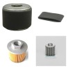 Filter kit for Merlo CONGO M6 with Honda GX270 Engine