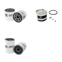 Filter kit for Merlo DM1000 (Dumper) with Lombardini Engine