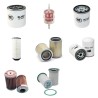 BMS WORKER 1 SIGMA Filter Service Kit w/Kubota V2203M Eng.   YR  2010-