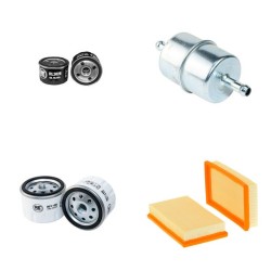 MICROCAR VIRGO LUXE Filter Service Kit w/LOMBARDINI LDW502FOCS Eng.   YR  08.00- 5.4 CH