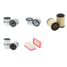MIXJET PVH 18 Filter Service Kit w/Lombardini  Eng.