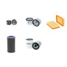 N.BLOSI ZIP 2835 E Filter Service Kit w/Lombardini LDW903 Eng.