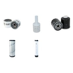 NEUSON 2503RDV Filter Service Kit Air Oil Fuel Filters
