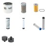 NEUSON 2503 RDV Filter Service Kit w/Kubota D1403E Eng.