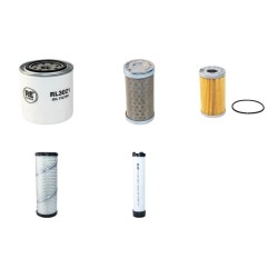 NEUSON 2503RDV Filter Service Kit Air Oil Fuel Filters