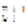 NEUSON 28 Z 3 Filter Service Kit Air Oil Fuel Filters w/Yanmar 3TNV76 Eng.   YR  2008-