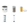 NEUSON 3003 RD Filter Service Kit Air Oil Fuel Filters w/Kubota D1703 Eng.