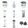 NEUSON 75 Z-3 Filter Service Kit w/Yanmar 4Tnv98V Eng. 2005-