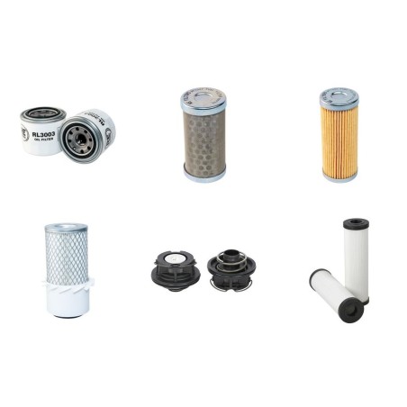 NEUSON LIFTON 850 Filter Service Kit w/Kubota  Eng.
