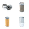 NEUSON LIFTON 850 Filter Service Kit Air Oil Fuel Filters w/Kubota  Eng.