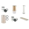 NEW HOLLAND TR 70 Filter Service Kit w/FORD V8/361GAS Eng.