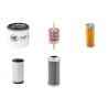 PALAZZANI TSJ 23 Filter Service Kit w/Kubota D722 Eng.   YR  2008