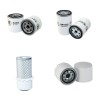 PASQUALI 5.40 VANTH Filter Service Kit w/Lombardini Ldw1404Focs Eng.