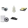 PEZZOLATO ORIZ 30 T Filter Service Kit w/HONDA GX620 Eng.