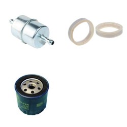 PEUGEOT 604 SL Filter Service Kit