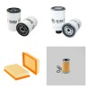 RABAUD XILOMIX 125 M Filter Service Kit w/Lombardini Eng. 2012