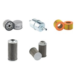 RAMMAX RW1505-CI Filter Service Kit w/FARYMAN 43F437 Eng. YR
