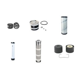 RAMMAX RX1510CI Filter Service Kit w/Lombardini LDW1003 Eng.