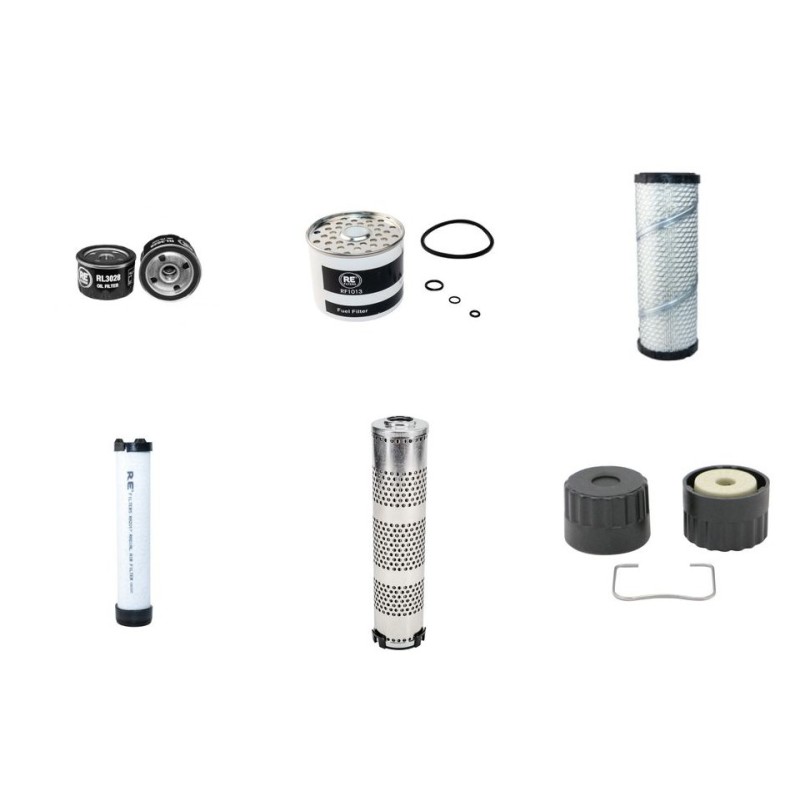RAMMAX RX 1510 CI Filter Service Kit w/Lombardini LDW1003 Eng.   YR  2009-