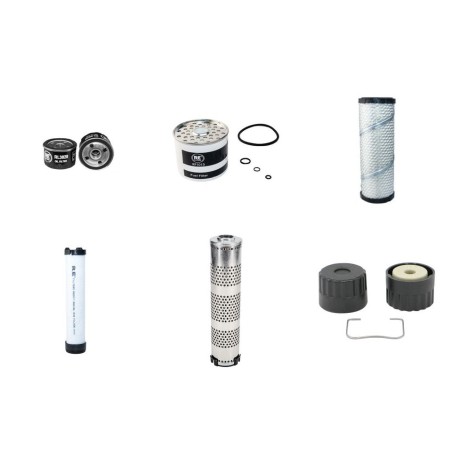 RAMMAX RX 1510 CI Filter Service Kit w/Lombardini LDW1003 Eng.   YR  2009-
