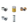 RANSOMES 728 DP Filter Service Kit Air Oil Fuel Filters w/Perkins 103.13 Eng.     28 CH