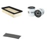 RAPID MONDO Filter Service Kit w/Briggs & Stratton IC-PLUS Eng.