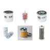 REFORM METRAC 3004 Filter Service Kit w/Kubota V2203 Eng.