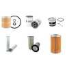RICHIER P 48 Filter Service Kit w/Ford 401Df Eng.