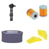 ROBIN MASTER 6010 DE Filter Service Kit w/Robin DY42 Eng.   YR  2013