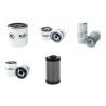 RUBAG 4 R 2203 RH Filter Service Kit w/Kubota V3300 Eng.