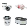 RUTHMANN RTR 300 E Filter Service Kit w/Hatz 2L41C Eng.