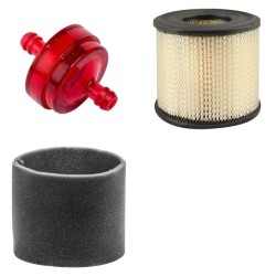 RYAN MATAWAY Filter Service Kit w/Briggs & Stratton  Eng.