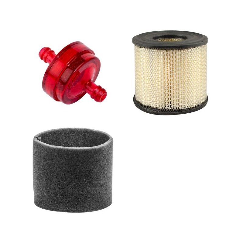 RYAN MATAWAY Filter Service Kit w/Briggs & Stratton  Eng.