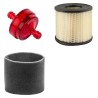 RYAN MATAWAY Filter Service Kit w/Briggs & Stratton  Eng.
