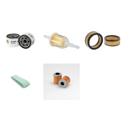 SAELEN MV PREMIUM Filter Service Kit w/Briggs-Stratton Eng. 2006-