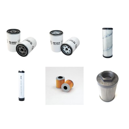 SAELEN MV VIPER 40 Filter Service Kit w/Lombardini Ldw1603/B1 Eng.
